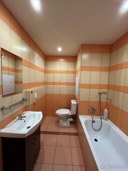 K pronájmu byt 2+kk, sídliště Špičák - 5