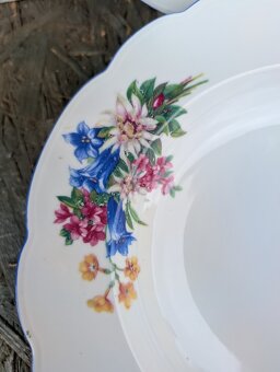 2ks vintage talíře, Alpeflora, zn.Altrohlau MZ. - 5