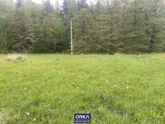 Pozemky v k. ú. Žulová, výměra 1589m2 - 5