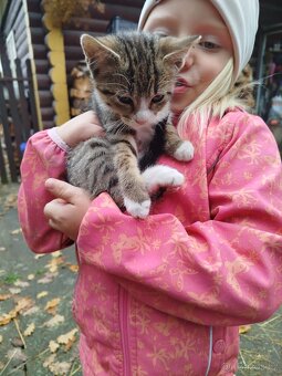 Daruji do dobrých rukou - 5