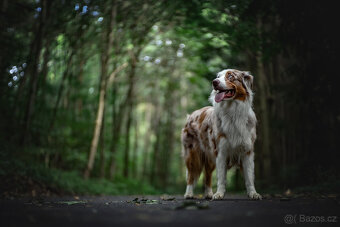 Meopta Meostigmat 60/1,7 Sony E a další - 5