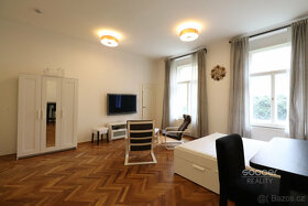 Pronájem krásného bytu 1+kk/B/S, 44 m2, Praha 2 - Nusle, Sla - 5