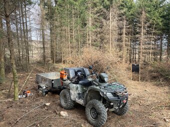 Suzuki Kingquad 750 AXI - 5