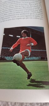 Albům + hráči karty - 5