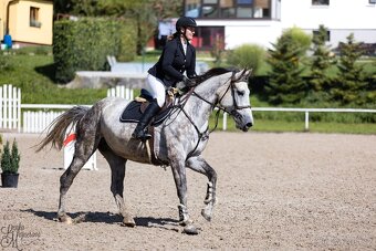 Sikovna mlada klisna - 5