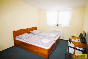 Hevlín, komerční prostor, penzion, víceúčelové, vhodné k pod - 5