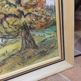 signovaný obraz zasklen Chalupy Orlické hory - 5