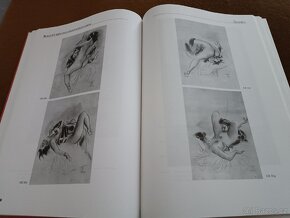 Rukověť sběratele erotického umění. - 5