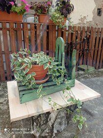 Váha, květinový stolek - 5