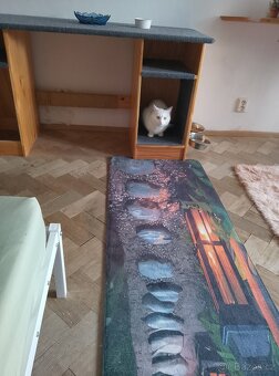 Škrabadlo pro kočky - 5