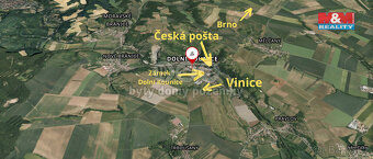 Prodej vinice v Dolních Kounicích - 5