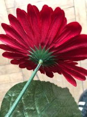 Umělé květiny gerbera bílá, červená, růžová - 5
