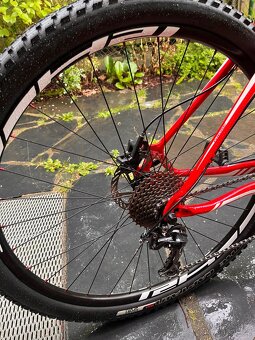 Specialized Rockhopper 29" L velikost - 5
