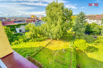 Pronájem bytu 2+1, 60 m², Plzeň, ul. Skalní - 5