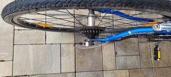 Kolo Author Reflex - 5