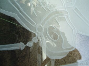 Skleněná výplň do dveří - motiv koně - 5