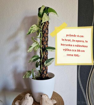 Rašeliníkové opory pro rostliny - 5