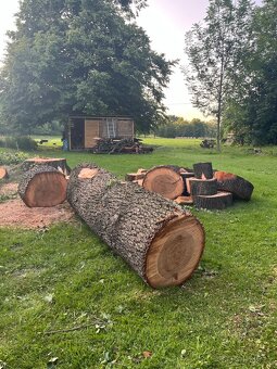 Dřevo - Olše Šedá 3x 220cm kulatina - 5