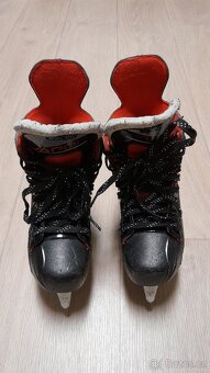 Brusle Bauer Vapor X 2,5 vel.36 - 5