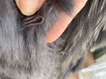 Krásná vesta z pravé kožešiny,vel.M - 5