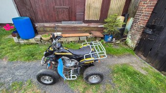 Čtyřkolka ATV LYDA 203e 250ccm - 5