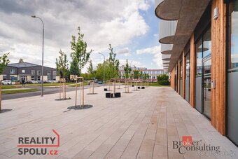 Pronájem, byty/4+kk, 118.49 m2, U Borského parku, Jižní Před - 5