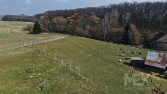 Prodej stavebního pozemku 1 751 m2, Žáravice - 5