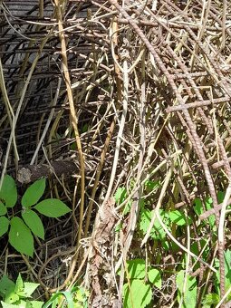 Betonářská kari síť, svařovaná - 5