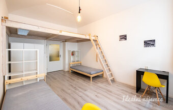 Pronájem bytu 2+1, Víta Nejedlého, Žižkov, 20000 Kč/měs, 43 - 5