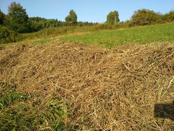 Prodám bio seno - 5