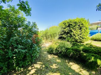 Chata s dvěma bazény a zahradou 616 m2, blízko rybnika Šimlo - 5