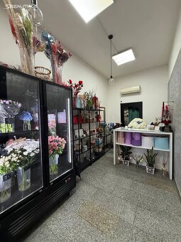 Pronájem obchodního prostoru 20 m² + odstupne - 5