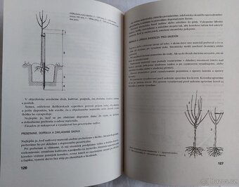 Ovocinárstvo - Oto Schuchman - 5