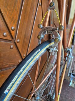 Favorit Special 1983 - 5