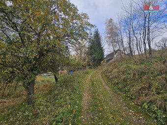 Prodej louky, 1636 m², Hanušovice - 5