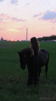 PONY VALACH - 5