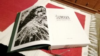 Šumava - 5