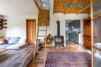 Prodej rekreační nemovitosti, pozemky 9851 m2, Kralovice - 5