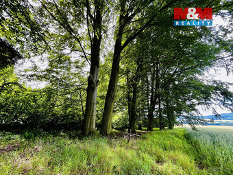 Prodej lesa, 1312 m², Libchavy - 5