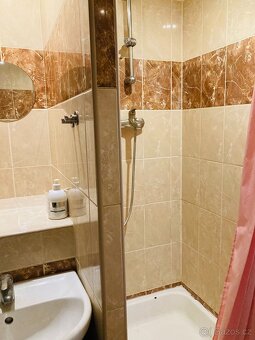 Pronájem bytu 1+1 s balkonem - 5