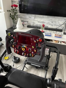 Thrustmaster TGT 2 + Next Level GT + SF 1000 - 5