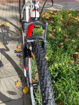 29" horské kolo Kilimanjaro alu rám L 19" - 5