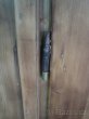 Prodám staré dveře - 5