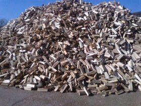 Prodej palivového dřeva skládané + sypané - 5