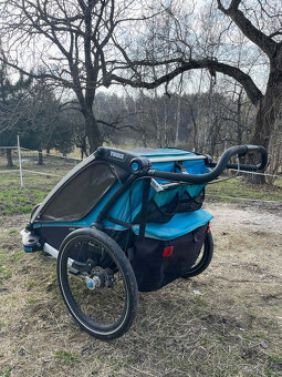 Thule Chariot Cross 2 - 5