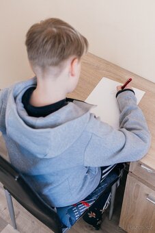 Prodej bytu 3+1 Aš - 5