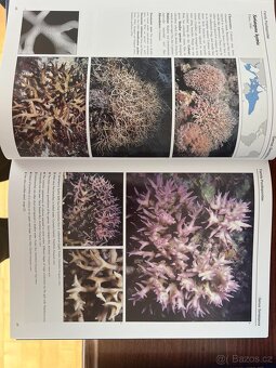 Corals of the World - J.E.N. Veron - sada knih (jako nové) - 5
