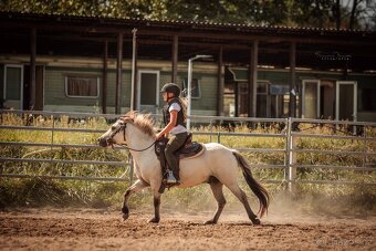 Pony 128 cm - 5