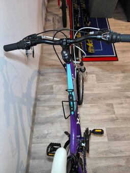 Kolo X-Fact 24 " - 5