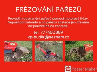 ODSTRANĚNÍ PAŘEZŮ RIZIKOVÉ KÁCENÍ - 5